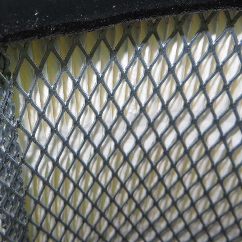 FLEETGUARD Filtro Aria AF25333