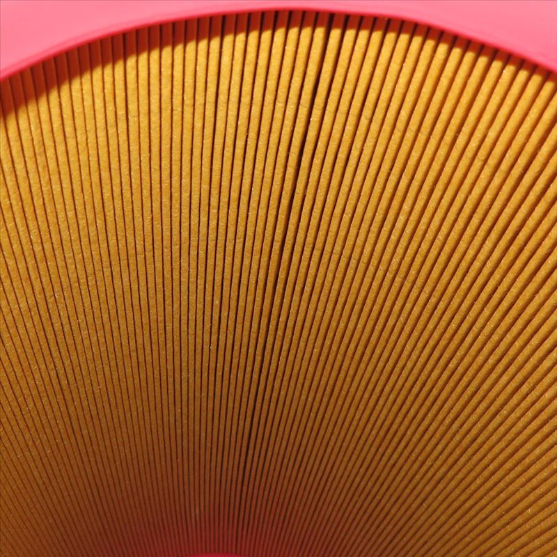 Filtro aria AF25723