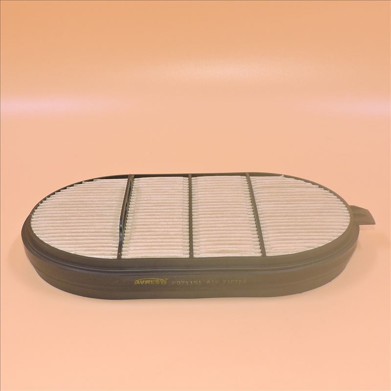 Filtro aria F071151