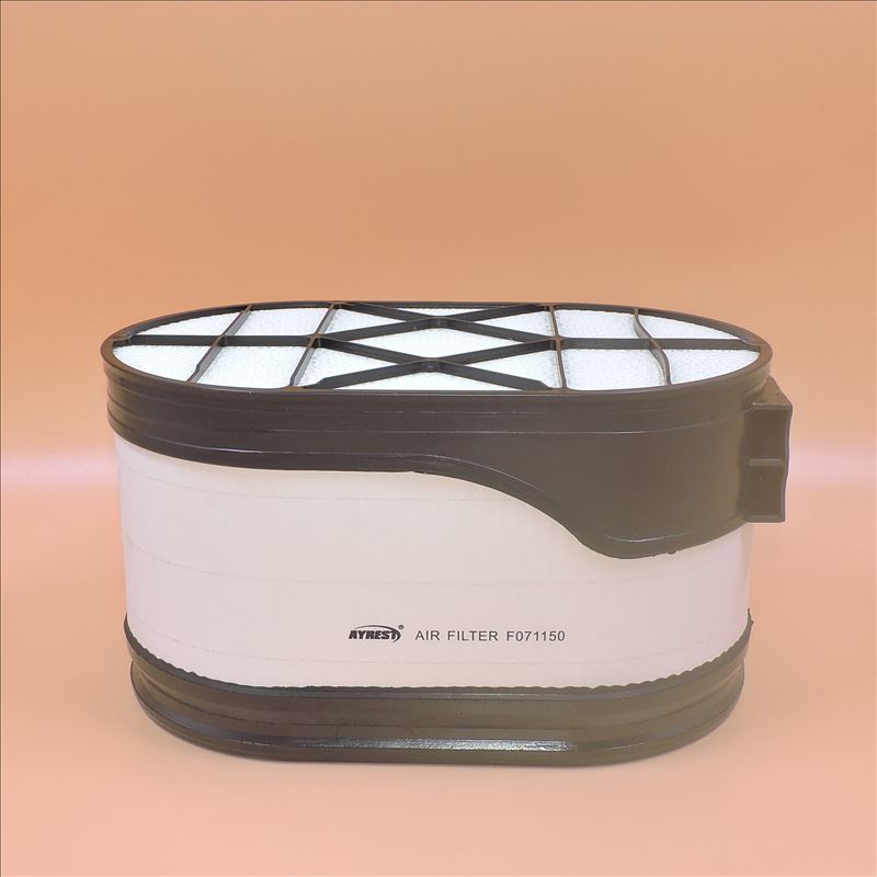 Filtro aria F071150