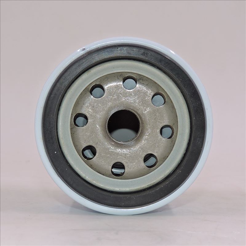 Filtro carburante LKCQ1A-100E