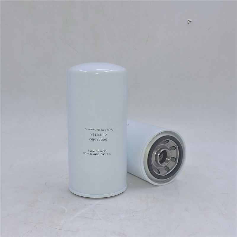 Filtro olio 2605531490