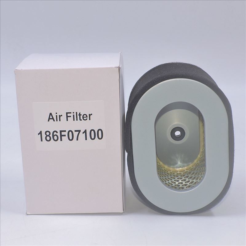 Filtro aria Yanmar 186F07100