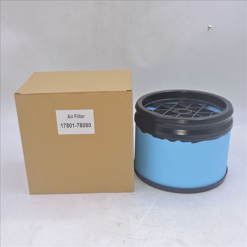 Filtro aria 17801-78080 P630752
