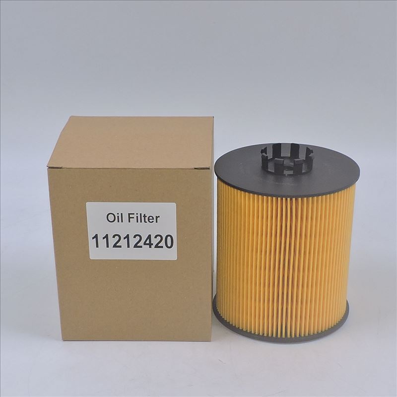 Filtro olio 11212420 P550938