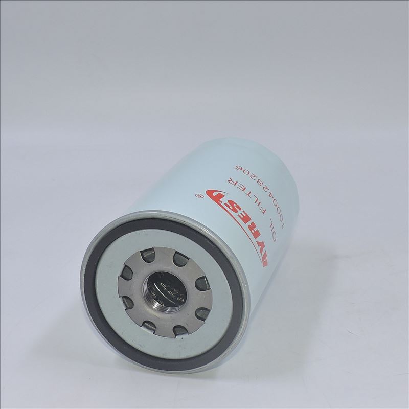Filtro olio 1000428206 R010077