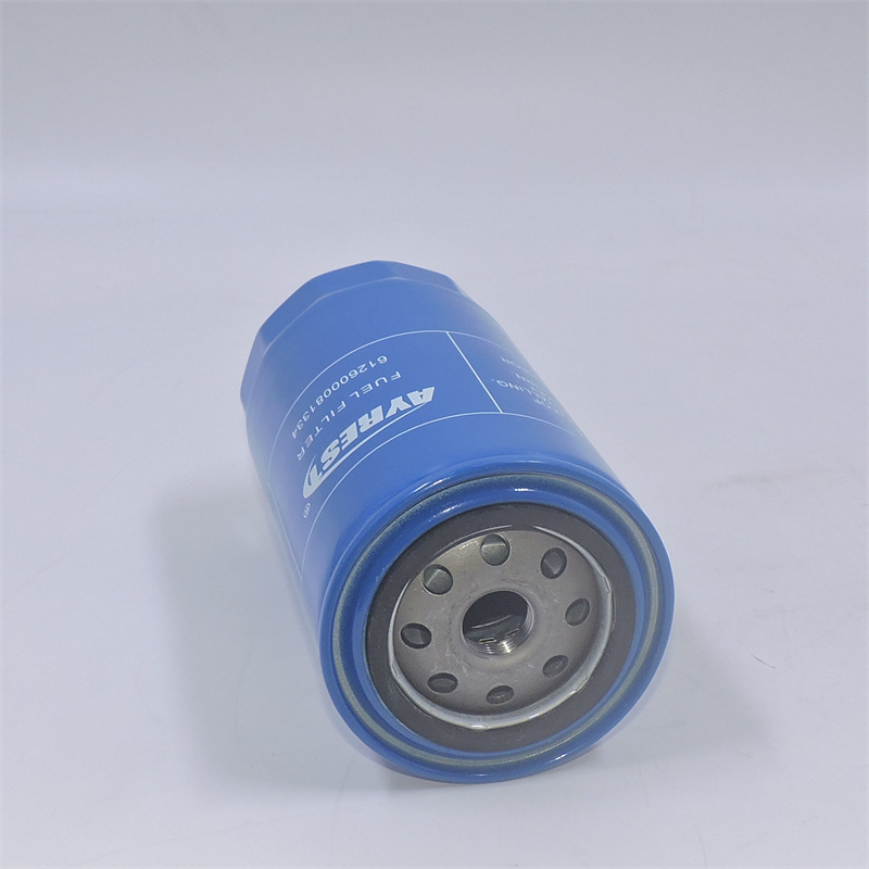 Weichai 1000442956 Per WD 10G220E21