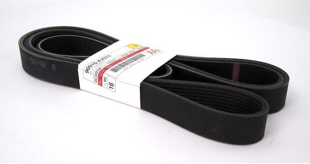 Cinture serpentine