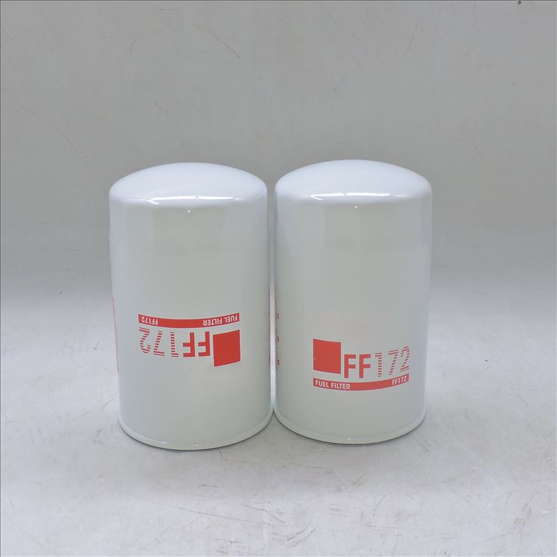 Filtro carburante FF172
