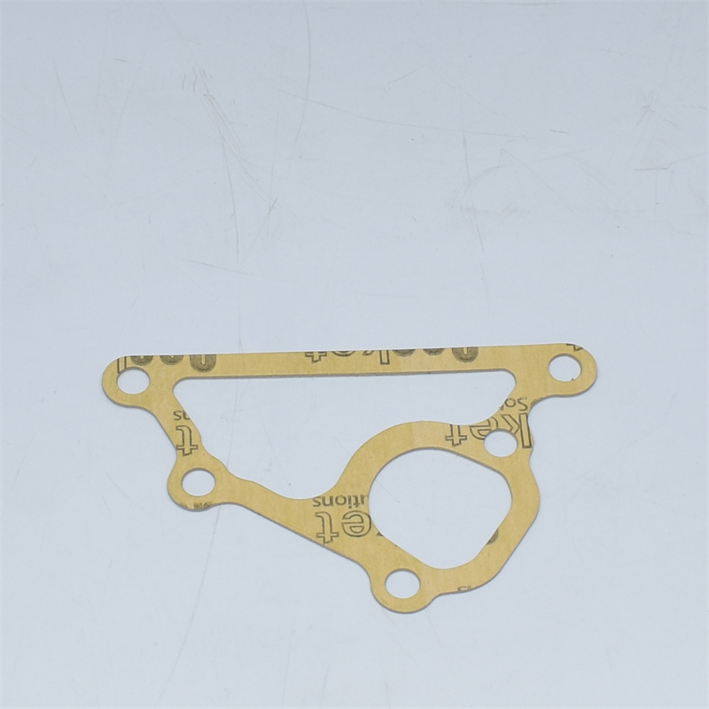 Guarnizione pompa acqua U45996990 145996990