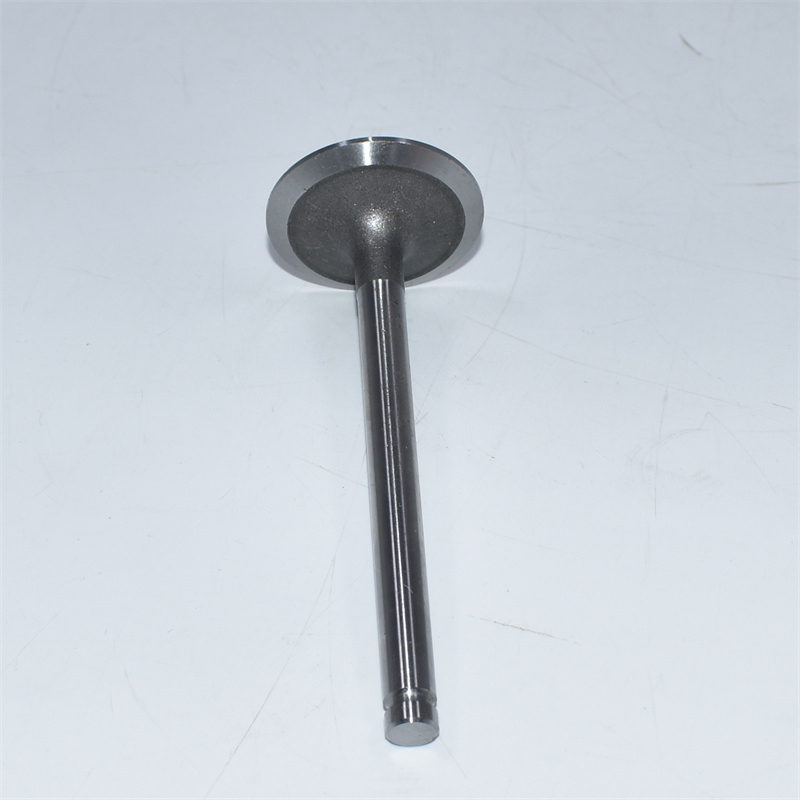 Perkins 3142L072 per motori