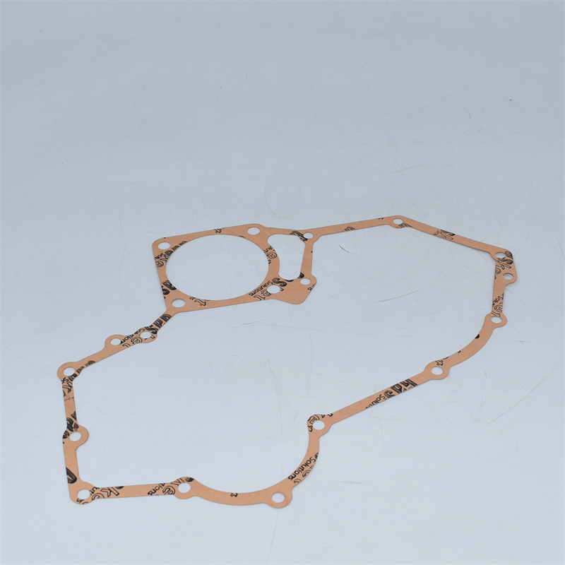 Guarnizione coperchio carter distribuzione U65996600