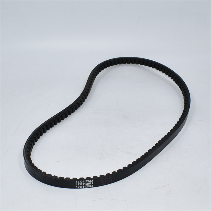 Cinghia trapezoidale 17-1125 171125