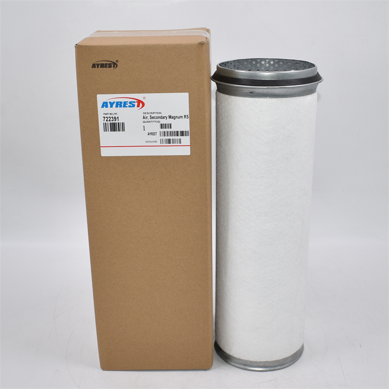 Filtro aria AF4523 P777551
