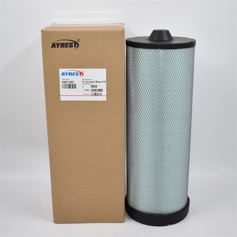 HXE11091 Filtro aria P618690