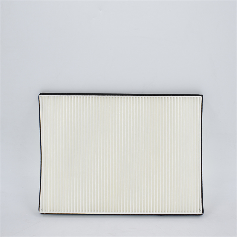 Filtro aria abitacolo DAF 1537148 AF25840