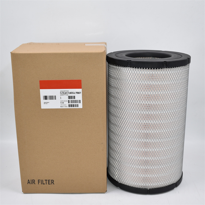 P619046 Filtro aria RS30130