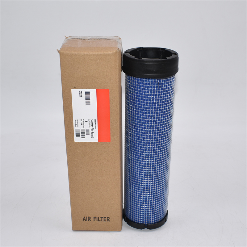 AF25497 Filtro aria CF972