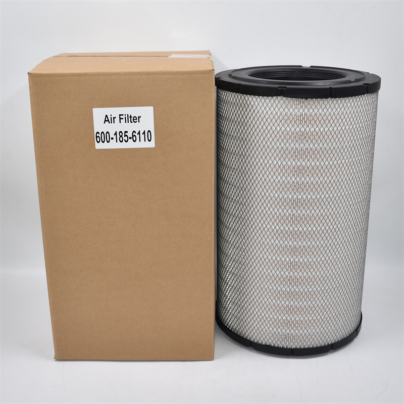 600-185-6110 Filtro aria C3217003