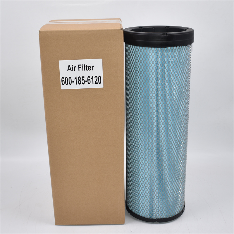 600-185-6120 Filtro aria P777869