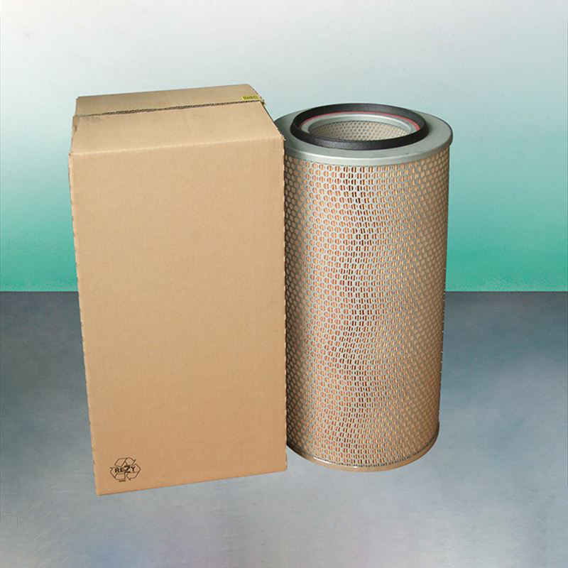 Filtro dell'aria C246501