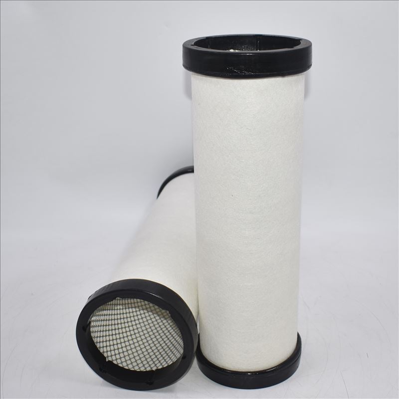 Filtro dell'aria CF 1552 P621918