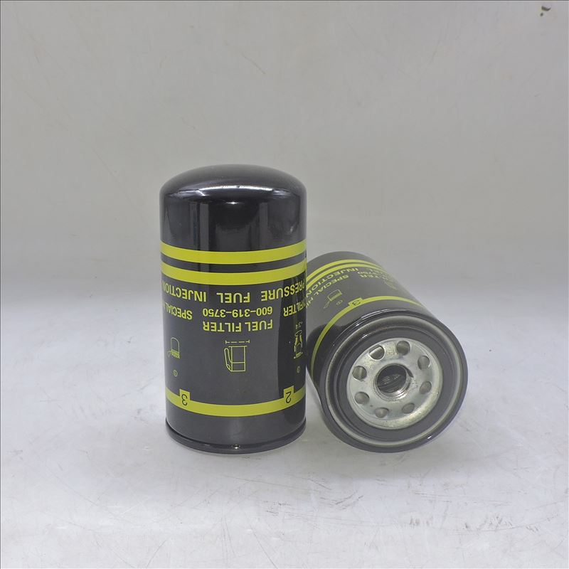 Filtro carburante 6003193750 BG6X9155AA 33697