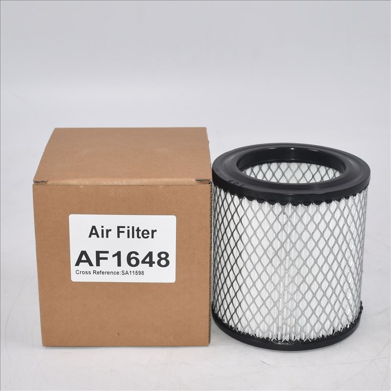 Filtro dell'aria AF1648 A0000942804 AM31000