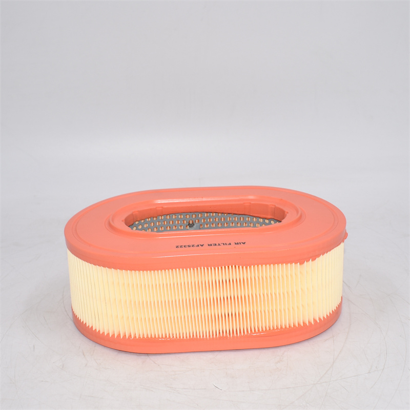 Filtro dell'aria AF25322 952901 C25124