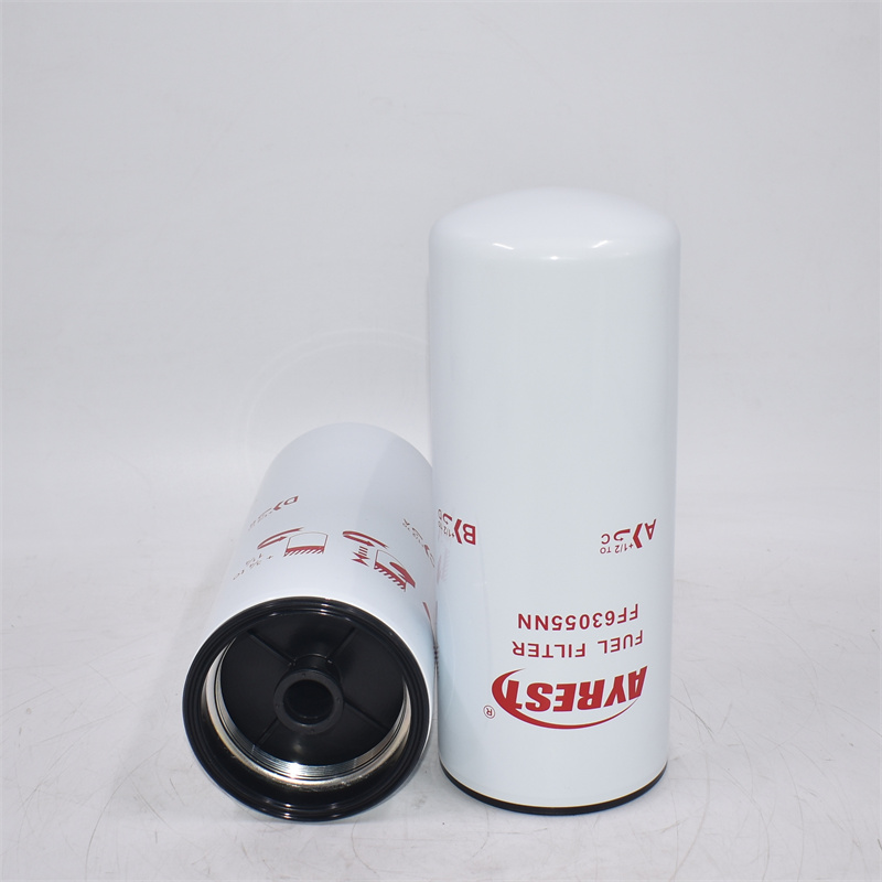 FF63055NN Filtro carburante 5598140
