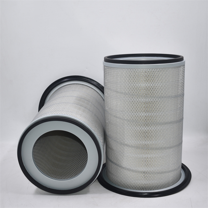 Filtro dell'aria P145702 AF4504M