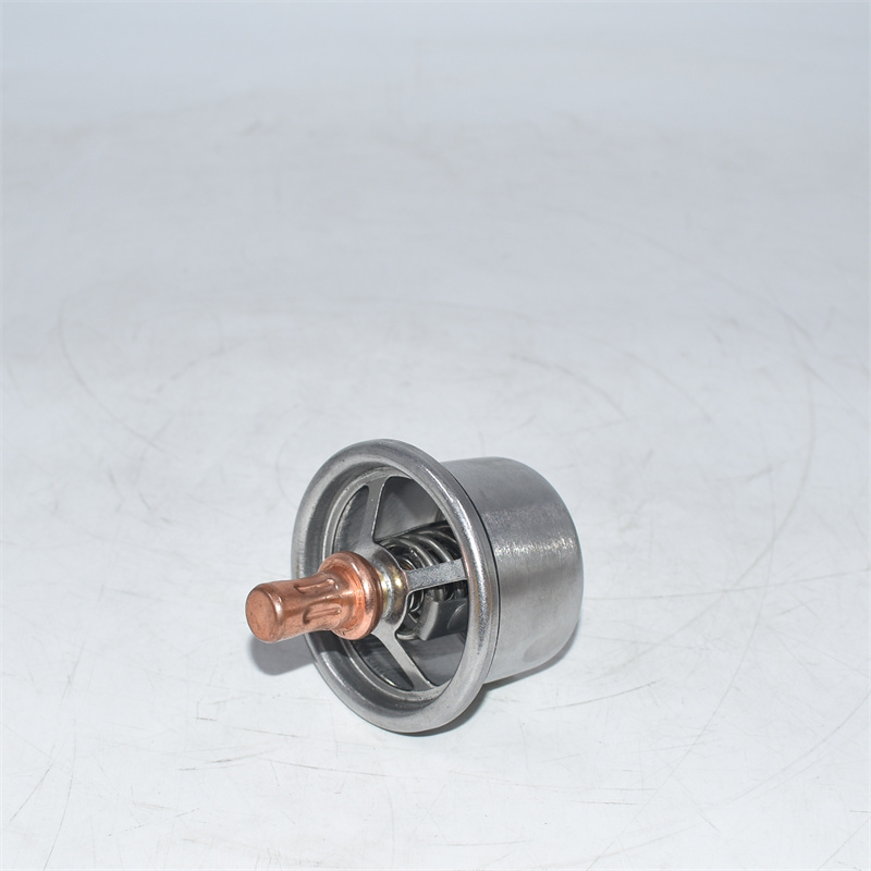 Regolatore della temperatura dell'acqua 248-5513 6I4950 7E7933