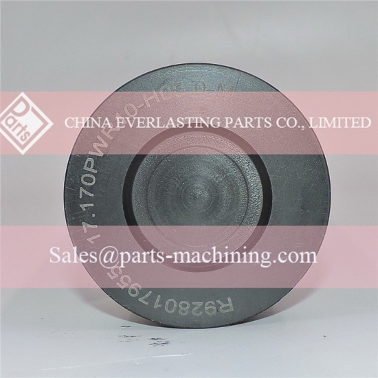 bosch rexroth R928017955 filtro idraulico di ricambio