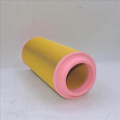 filtro dell'aria 6910725 P778972 RS3922
