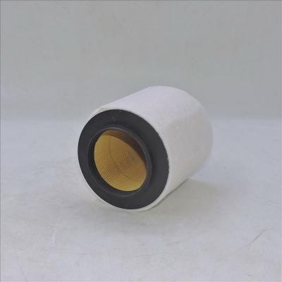 filtro aria 13717532754 C1361
