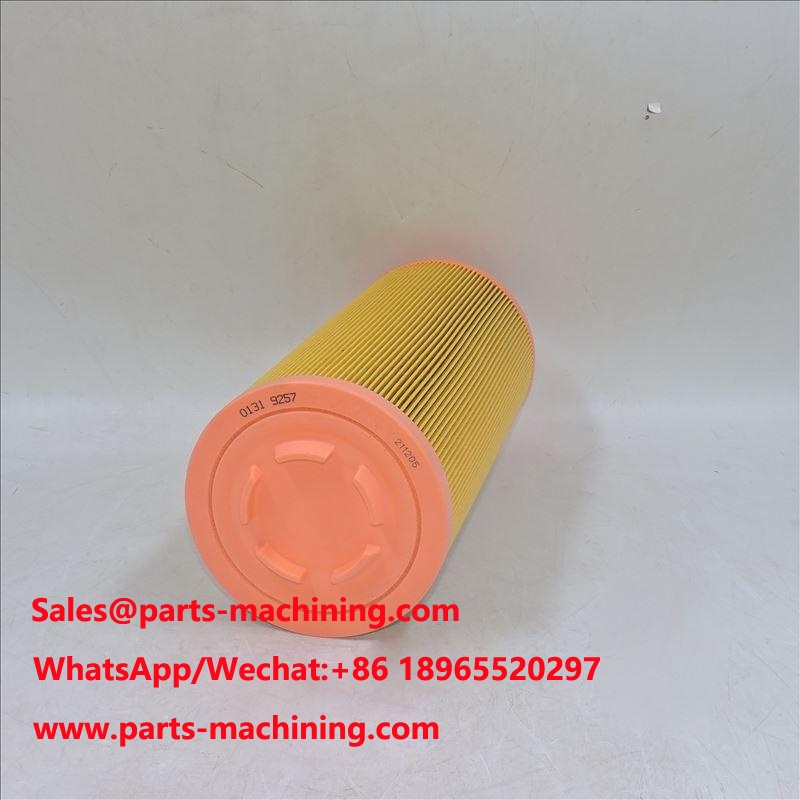 filtro aria 01319257 1319257 P778989 SA 17100 46836
