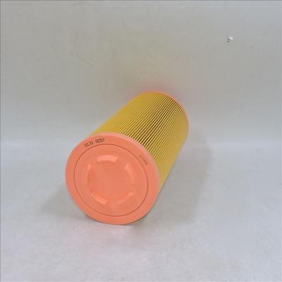 filtro aria 01319257 1319257 P778989 SA 17100 46836
