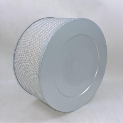 filtro aria P181126 A-5531 PA2653 AF4609
