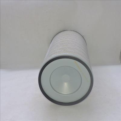 FREIGHTLINER TRUCK Filtro aria AF1797M P141228 PA2632
