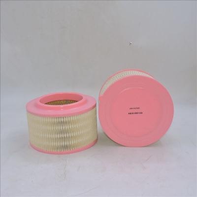 Filtro aria AB39-9601AB P506075 WA9763 E1205L

