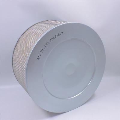 Filtro aria AF4609 PA2653 8N6309 P181126