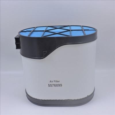 Air Filter 5576099