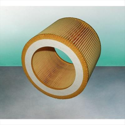 Filtro aria C1140 SA17224 P784578