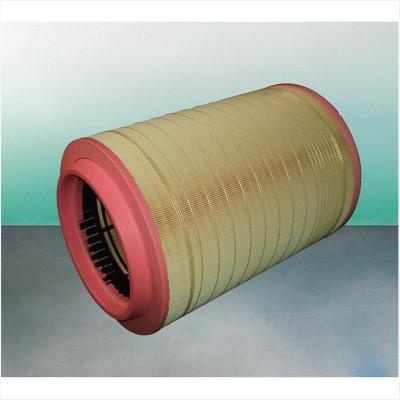 Filtro Aria C321420/2 SA17323 P785352 AF26241