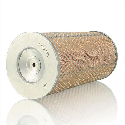 Filtro aria C17225/3 SA14008 P181088 6644839