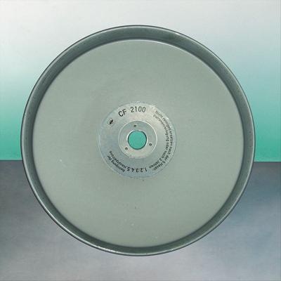 LIEBHERR A954 Filtro aria CF2100 7368215 81.08304.0066