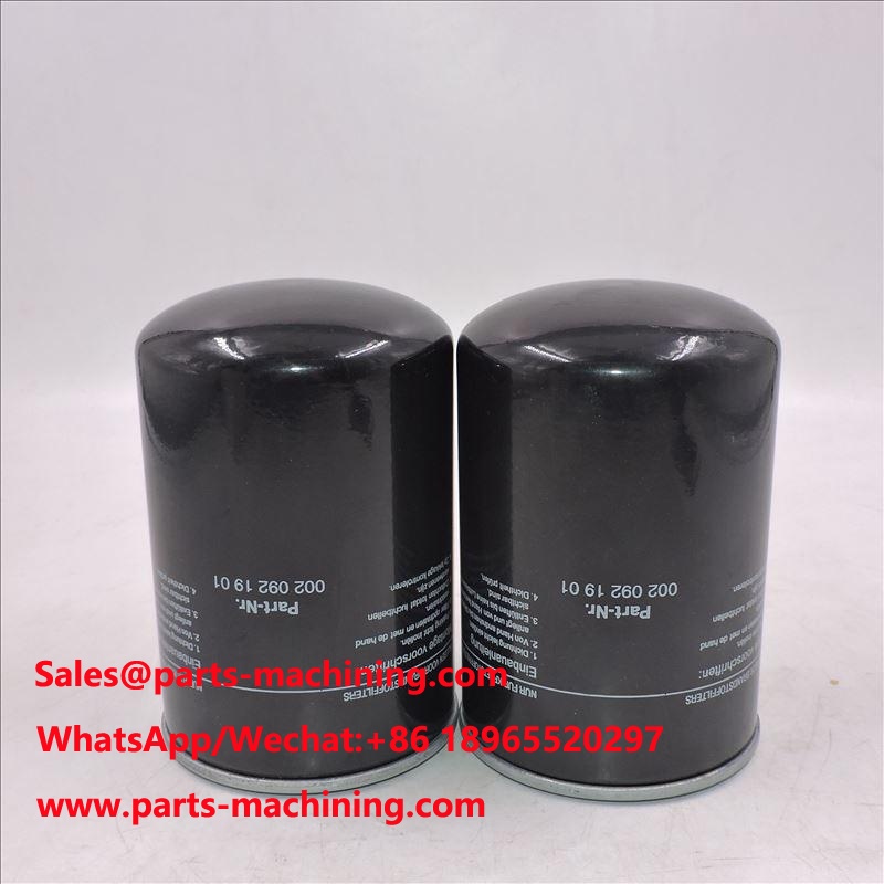 Fuel Filter 0020921901