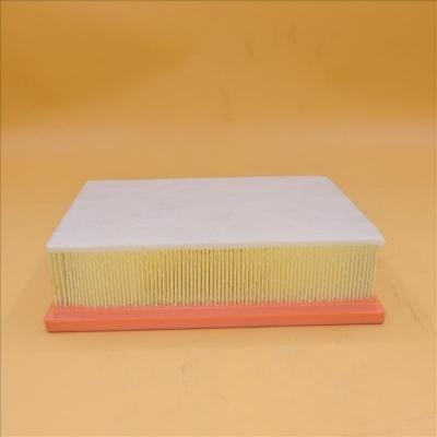 Filtro aria PA7597 PA2231 46302