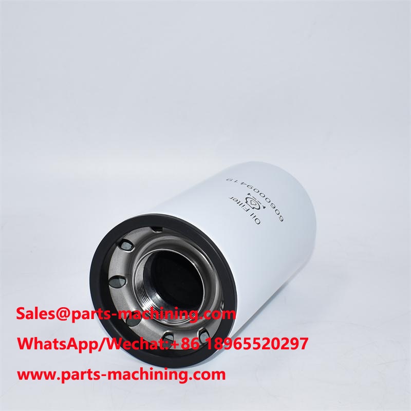 Filtro olio 6060009419 P553548 LF3548