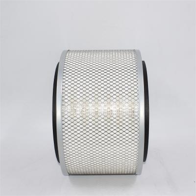 Filtro aria AF25758M P181030 PA2599 46281